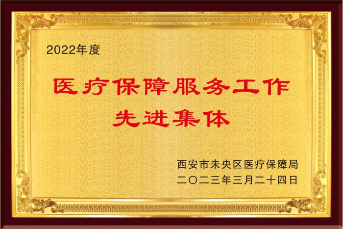 西安市未央区医疗保障服务工作先进集体