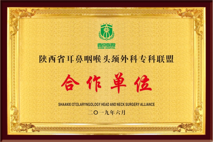 陕西省耳鼻喉头颈外科专科联盟合作单位