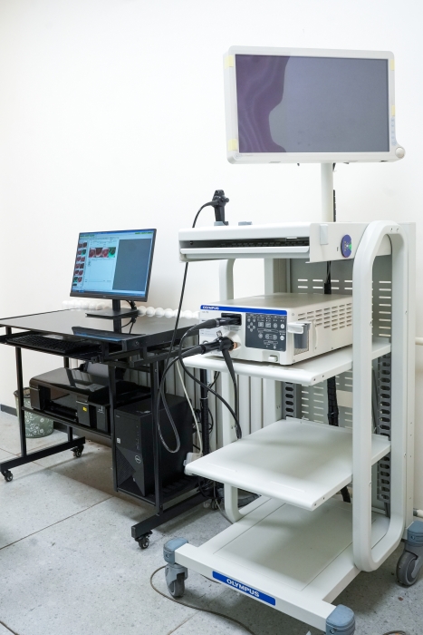 耳鼻喉科 电子鼻咽喉镜